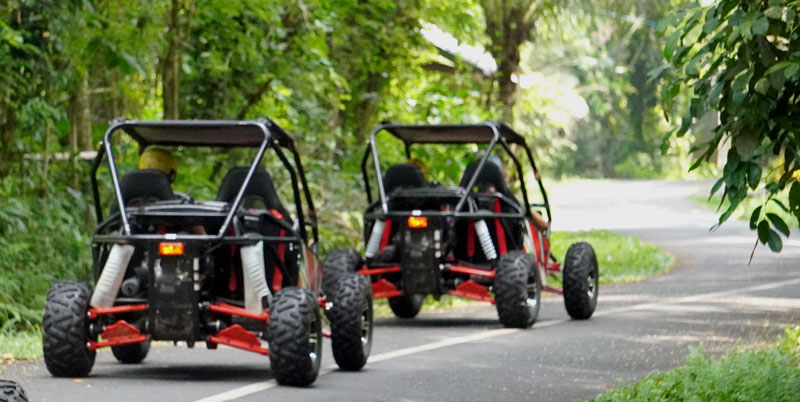 Bali Buggy and Cycling Packages