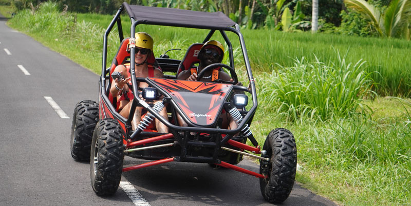 Bali Buggy and Safari Park Packages