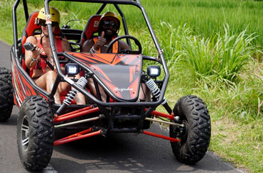 Bali Buggy and Safari Park Packages