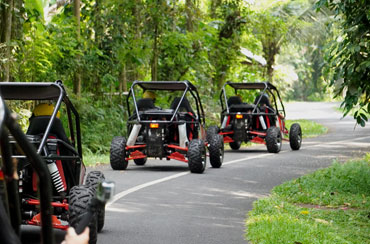 Bali Buggy and Seawalker Packages