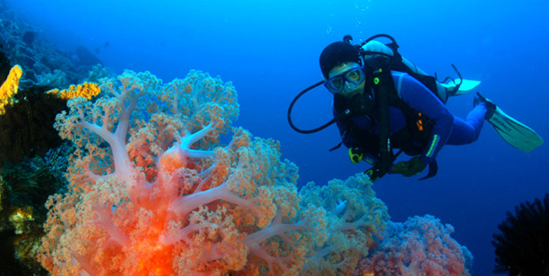 Bali Diving