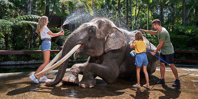 Bali Elephant Safari Park