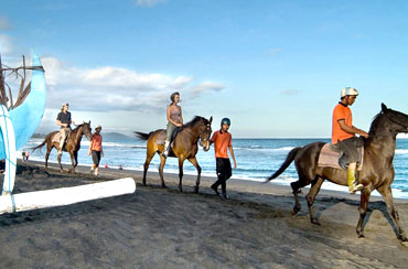 Bali Horse Riding