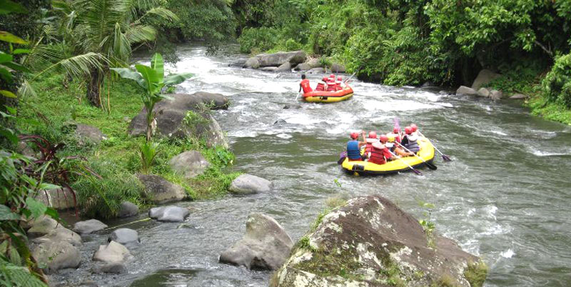 Bali Rafting + Safari Park + Spa Packages