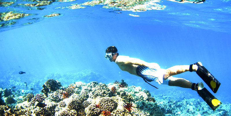 Blue Lagoon Snorkeling and Bali Horse Riding Packages