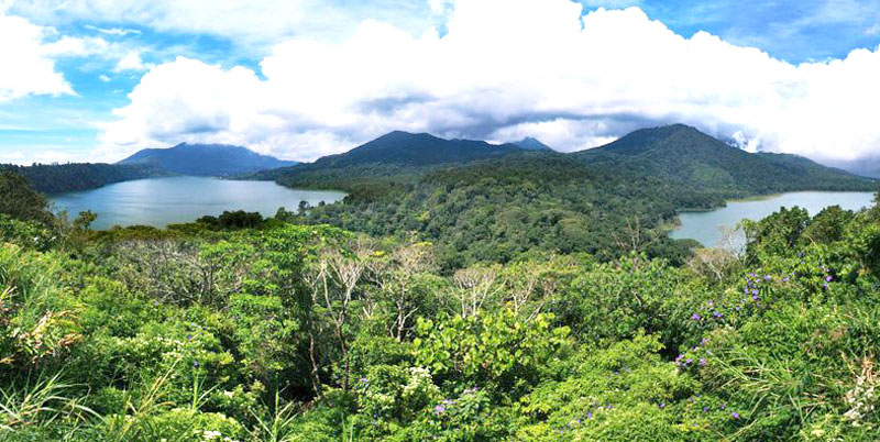 Lake Tamblingan and Lake Buyan